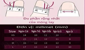 Cách chọn size nailbox