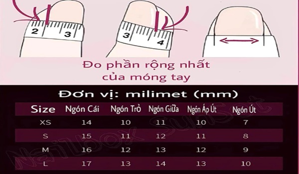 Cách chọn size nailbox